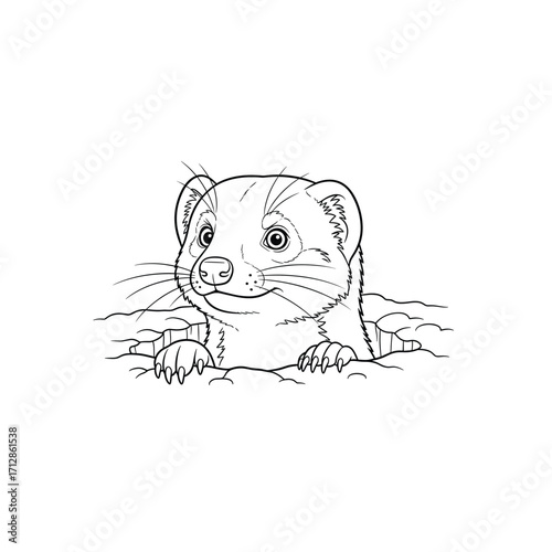 Cute Line Art Stoat Peeking Out From Burrow: Vector Illustration of Mustela erminea for Coloring Books and Wildlife Education Materials, Black and White