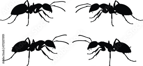 High-Resolution Insect Vector Illustration, Nature Setting, Graphic Content, Close-Up Viewpoint in a Detailed Environment