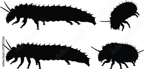 High-Resolution Black Silhouettes of Various Insects as Vectors of Nature's Ecosystem, Created in a Contrast Rich Environment