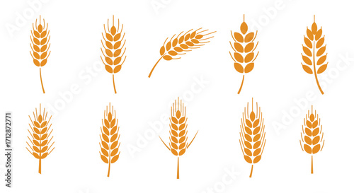 Golden wheat stalks and grain heads in a simple illustrative style
