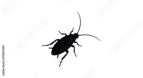 A simple black silhouette of a cockroach on a white background