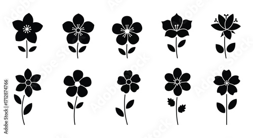 Collection of various black floral designs presented in a stark silhouette