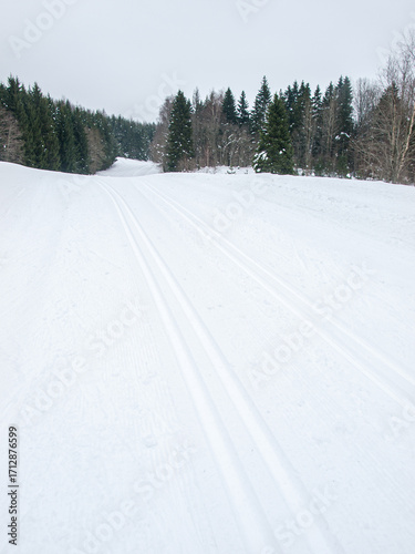 Cross-country ski trail in a snowy forest landscape, winter sport and outdoor recreation concept.