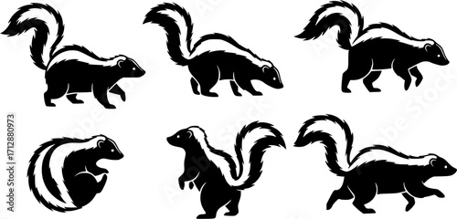 skunk silhouette line art vector illustration with a white background