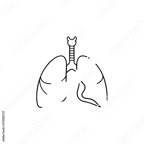 Simple Black and White Line Art Illustration of Human Lungs and Trachea.