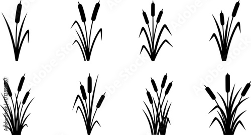 Cattail svg, Cattail silhouette, Cattail plant silhouette, Reeds and cattail silhouette, Cattail plant svg, Cattail vector set. 