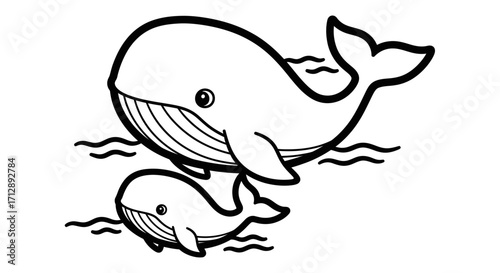 Loving Mother Whale and Baby Whale Swimming Together in Ocean Water on Isolated White Background