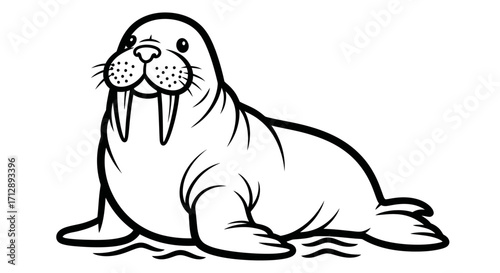Cartoon Walrus with Large Tusks Resting on Isolated White Background for Coloring Book