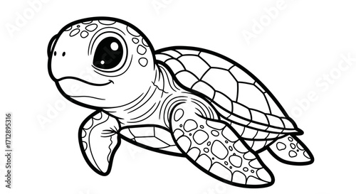 A detailed line drawing of a baby sea turtle, swimming with flippers extended.