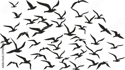 Dynamic flock of seagulls soaring freely across open sky, symbolizing freedom and travel