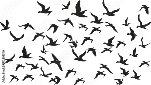 Dynamic flock of silhouette birds soaring gracefully across the sky in unison