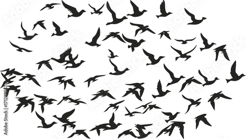 Stunning flock of birds takes flight creating dynamic, organic patterns for your designs