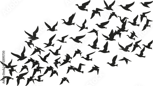 Graceful flock of birds soaring across a bright, open sky, evoking freedom and nature's beauty