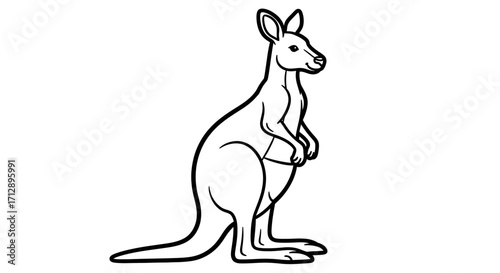 A simple, black and white line drawing of a kangaroo standing upright.