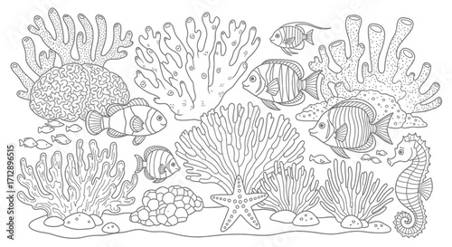 Intricate line drawing of diverse coral reef life, including fish and seahorse.
