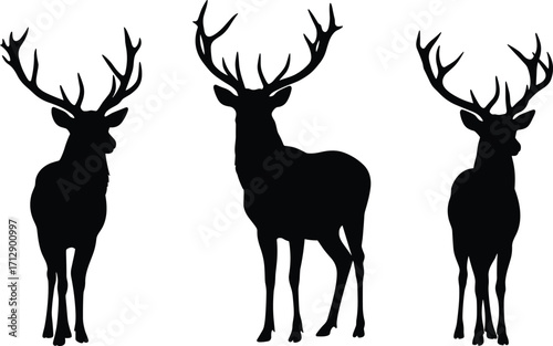 Deer silhouettes, stag illustration, wild animal vector, antler design, wildlife artwork, forest clipart, printable graphic, hunting theme, nature element, digital art