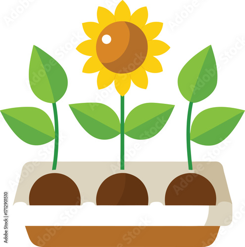 Three sunflowers growing in a planter box a simple and colorful illustration on white background