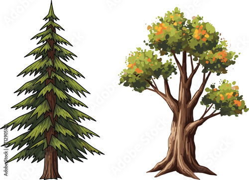 Coniferous and Deciduous Tree Vector Illustration Showing Foliage, Structure, Seasonal Elements, Nature Diversity, Educational Forest Concept for Botanical Design