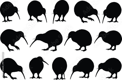 Kiwi bird silhouettes, New Zealand wildlife, flightless bird illustration, animal vector, exotic species design, nature clipart, educational artwork, decorative element, printable art, digital graphic