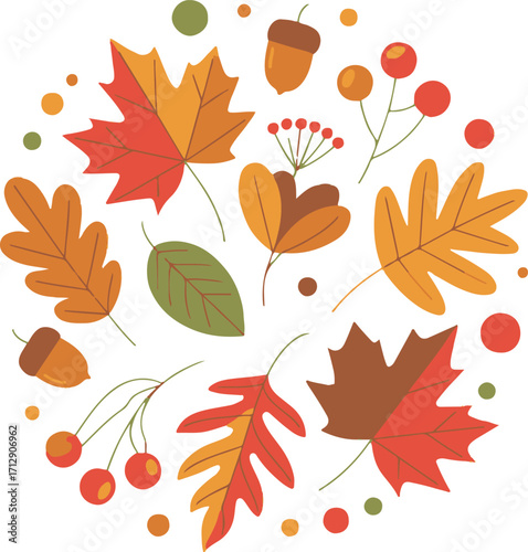 seasonal autumn decoration vector with leaves acorns berries and dots circular pattern background for harvest projects