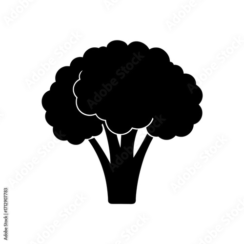 Silhouette of a broccoli head on transparent background