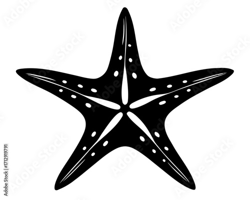 starfish   black silhouette vector,Sea fish icon