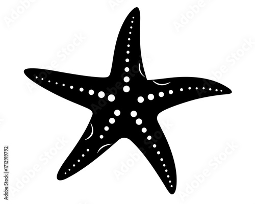 starfish   black silhouette vector,Sea fish icon