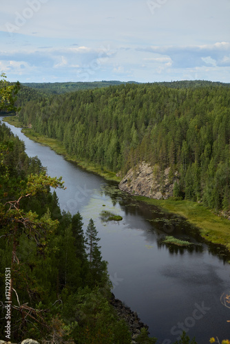 A breathtaking scenic river flows through a lush forest landscape teeming with life