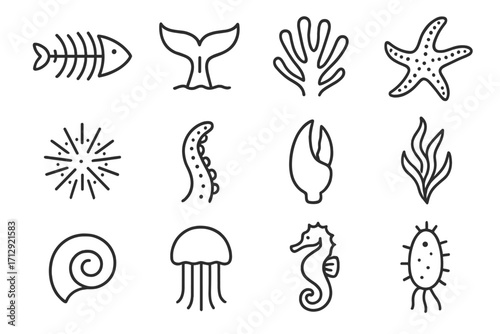 Life icon sea marine octopus bell vector starfish plankton tentacle seaweed anatomy