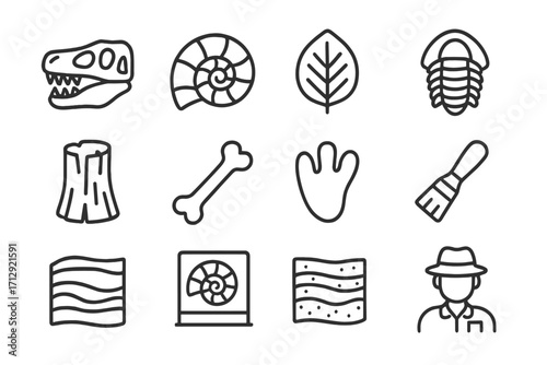 Icon fossil paleontologist biology ancient wood footprint excavation icons bone vector brush
