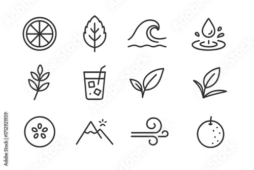 Mint fresh glass branch vector crisp icon wave tea leaf scent icons