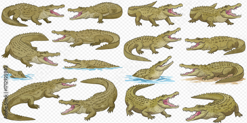 A collection of illustrated crocodiles and alligators in various dynamic poses, standing, walking, and swimming with open jaws.