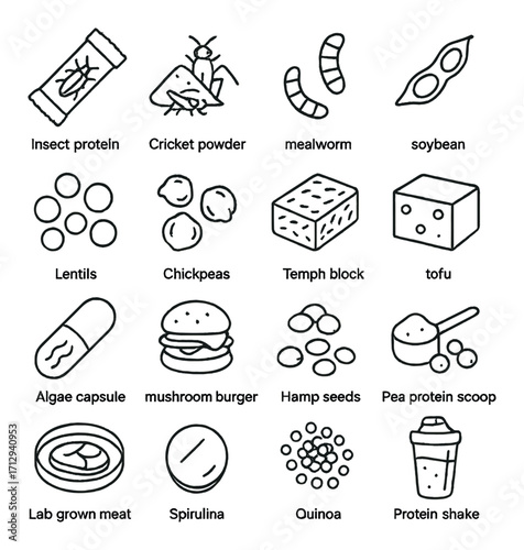 Sustainable protein sources with edible insects and plant-based options