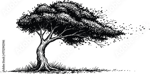 Wind-blown tree silhouette, black and white illustration, nature force concept, environmental impact, stormy weather, motion in landscape, outdoor art