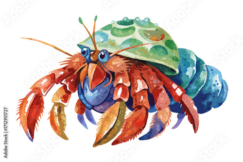 crab on white background