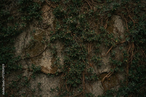 Tiny greenery blanketing a wall's texture
