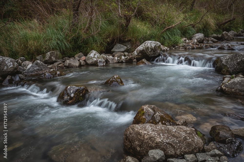 Fototapeta premium A gentle stream cascading over stones in a forest reserve, captured with a long exposure to create smooth water effects