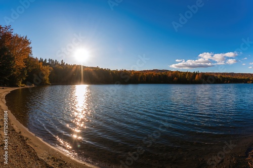 Autumn scenery with sunligh...