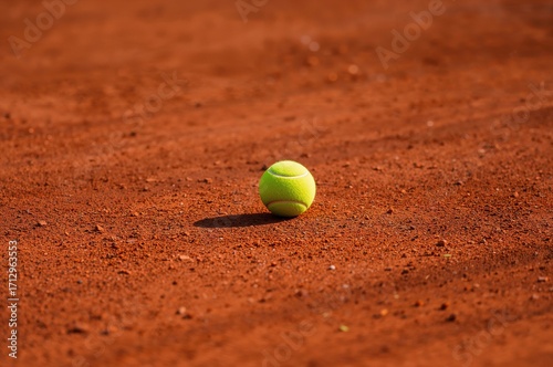 Tennis ball resting on dust...