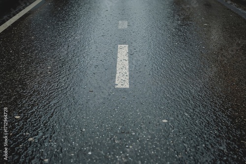 The damp pavement shows tha...