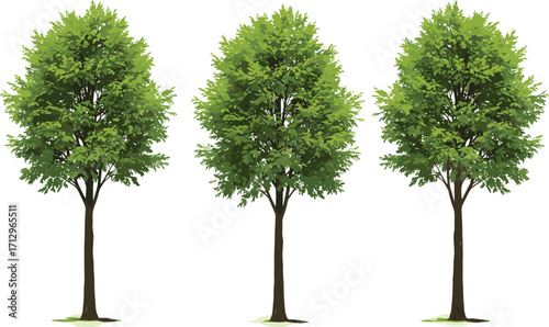 PrintCollection of green bushes and shrubs, garden topiary shapes, isolated foliage elements, realistic plants for landscaping, vector nature design artwork