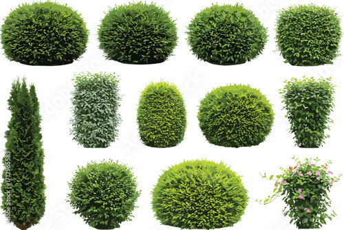 PrintCollection of green bush and shrub illustrations, isolated garden plants, topiary shapes, realistic foliage for landscape design, vector botanical elements