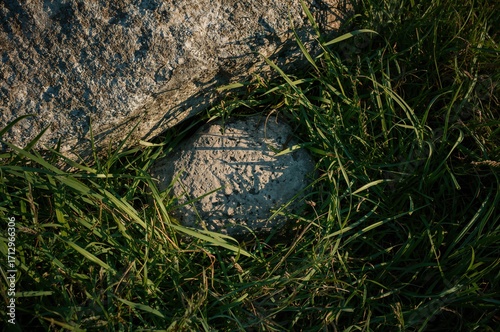 Rock amidst greenery Natura...