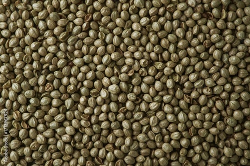 Overhead Shot of Fresh Cori...
