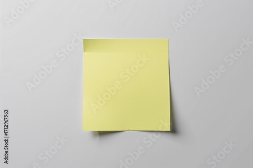 Adhesive plain tag with mem...