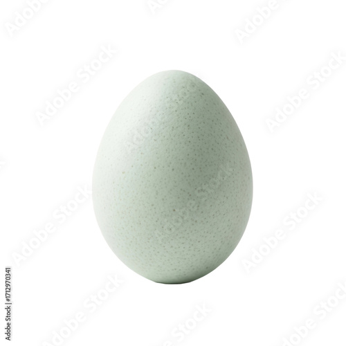 A single, perfectly formed, pale celadon green avian egg with delicate speckles, macro studio photography on an immaculate white background, soft ethereal lighting and copy space, concept of new life