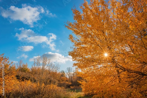 Bright Autumn Scenery Featu...