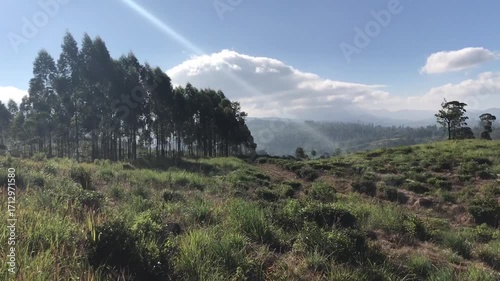 Wallpaper Mural Captivating Views of Sri Lanka and Athens Coastline From the Sky Torontodigital.ca