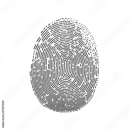 Distinctive fingerprint pattern symbolizing personal identity, security, and unique digital authentication for modern technology and biometric access
