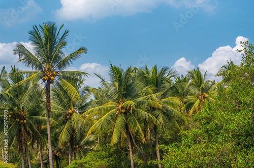 Breathtaking scenery featur...